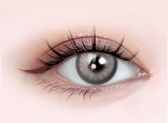 Artric Veil Gray(6-MONTH)