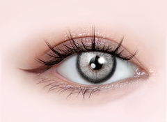 Artric Linen Gray(6-MONTH)